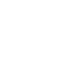 Expert Analysts icon